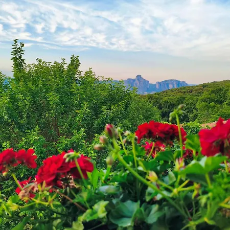 Дом отдыха Private Meteora Panorama Garden Калампака