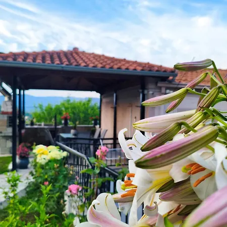 Private Meteora Panorama Garden